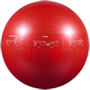 GoFit Professional Grade Stability Ball - 65 cm