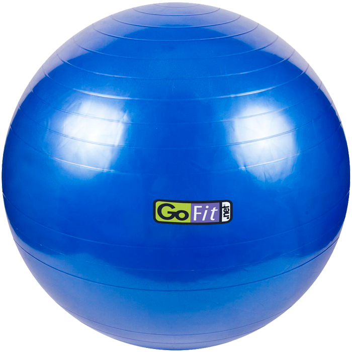 GoFit 75cm Stability Ball